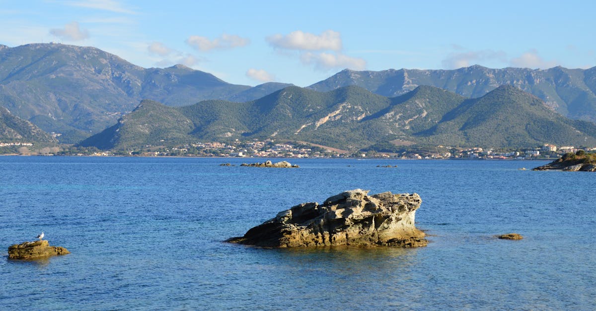 A Taste of the Coast: Modern Australian Fare in Byron Bay