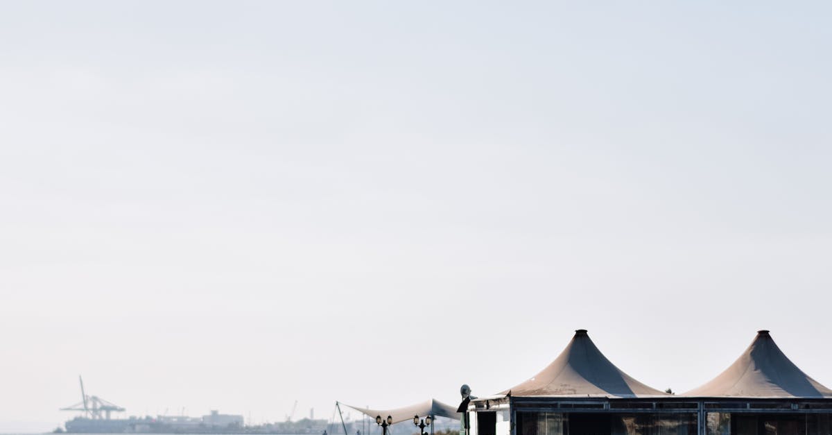 Café Hopping in Byron Bay: Pet-Inclusive Dining Experiences