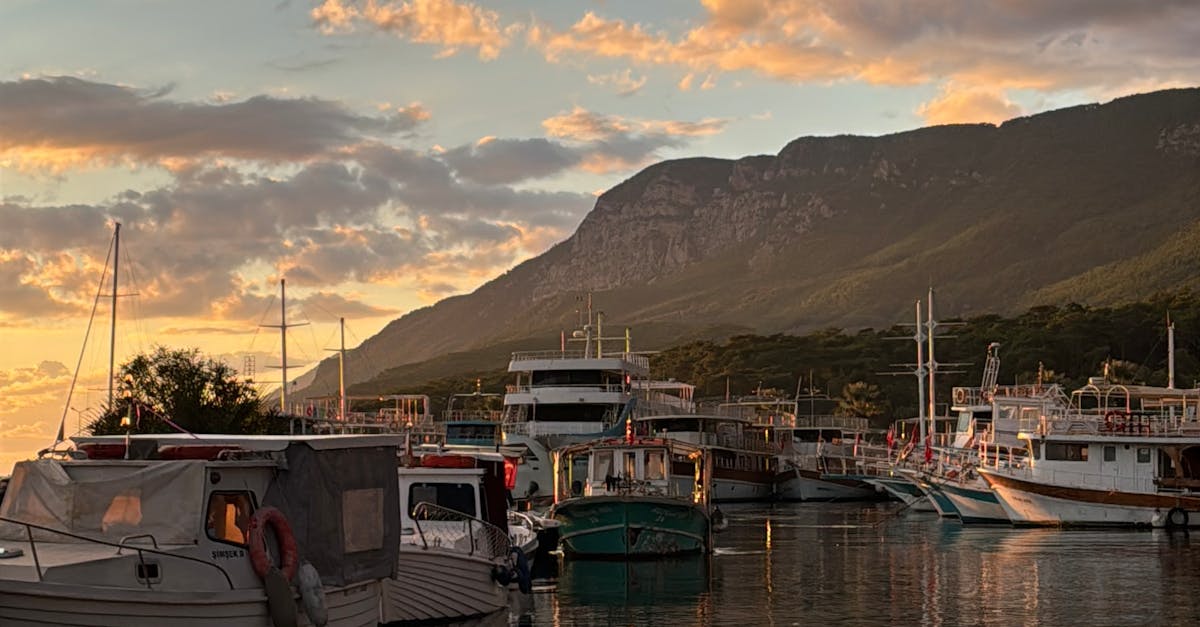 Dining al Fresco: A Guide to Byron Bay's Best Outdoor Cafés