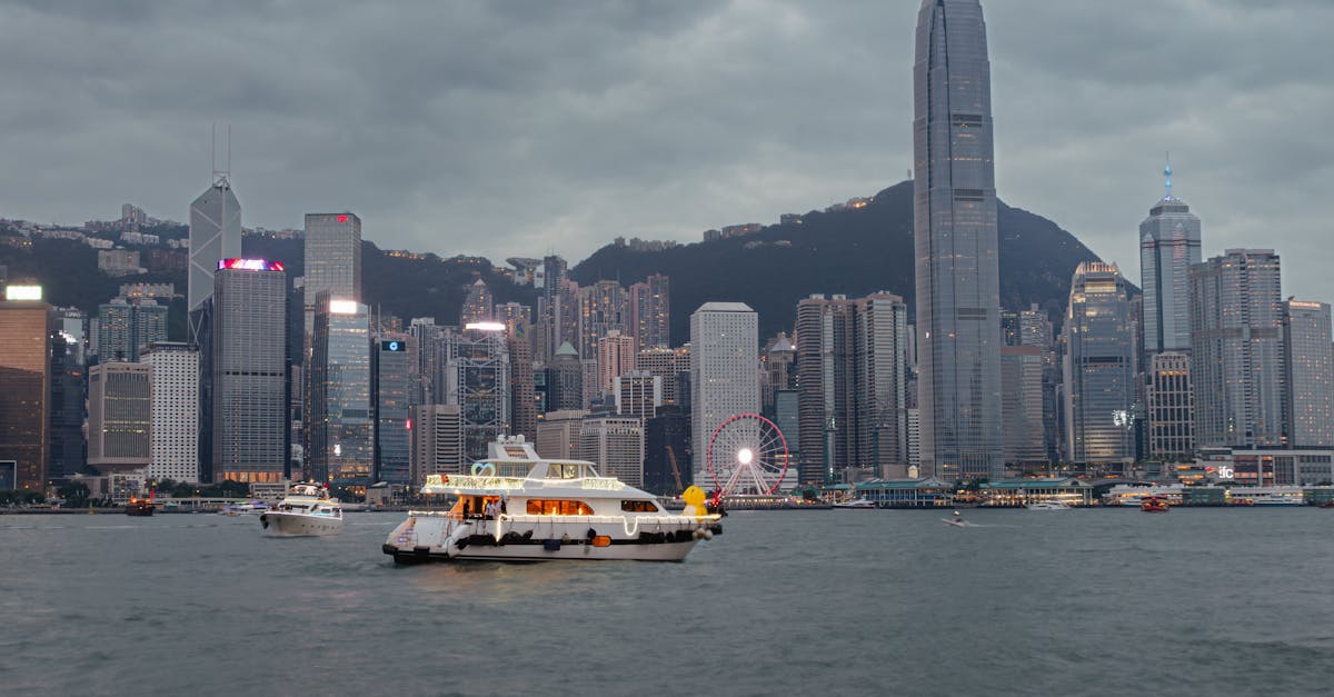 Discovering Byron Bay's Best Vegan Breakfast Spots