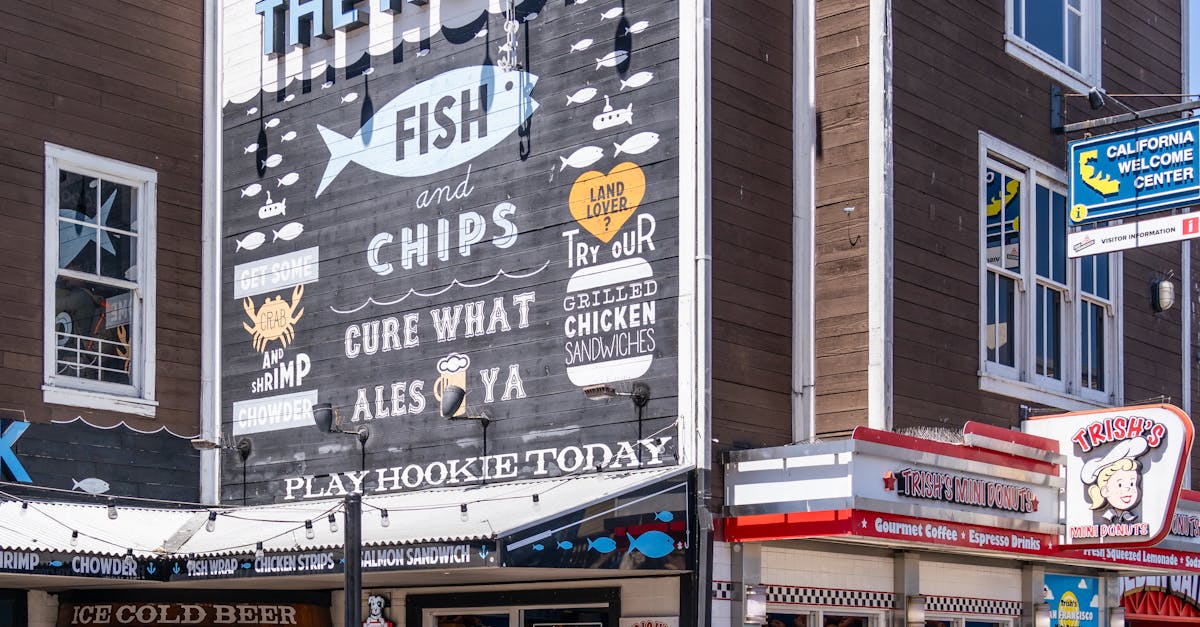 Enjoying a Relaxed Café Atmosphere with Pets in Byron Bay
