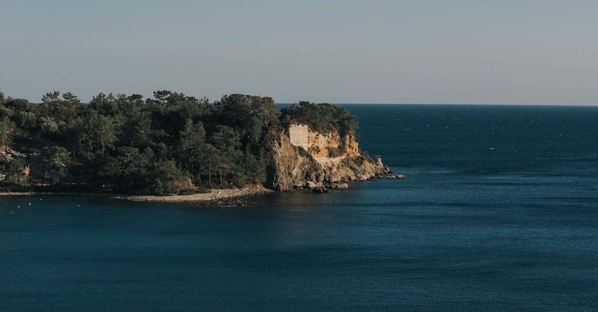 Exploring Byron Bay's Best Vegan Fine Dining Experiences