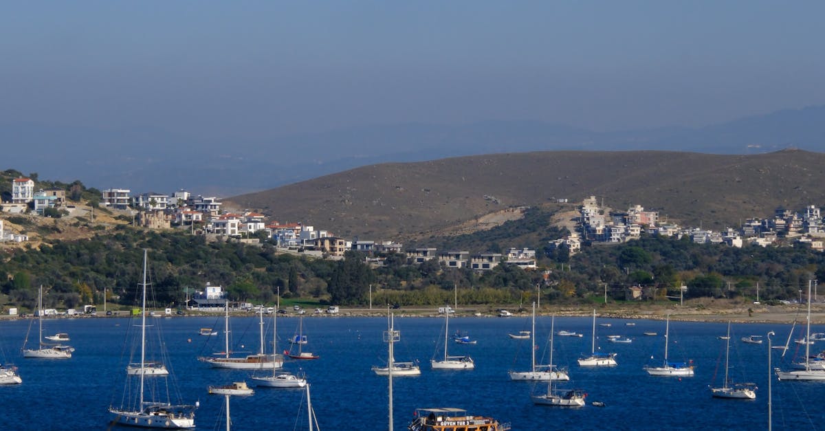 Family-Friendly Beachfront Bars for a Laid-Back Vibe