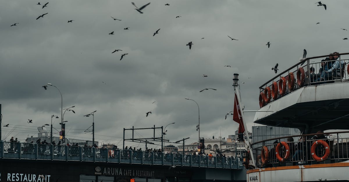 Guilt-Free Indulgence: Top Spots for Healthy Treats in Byron Bay