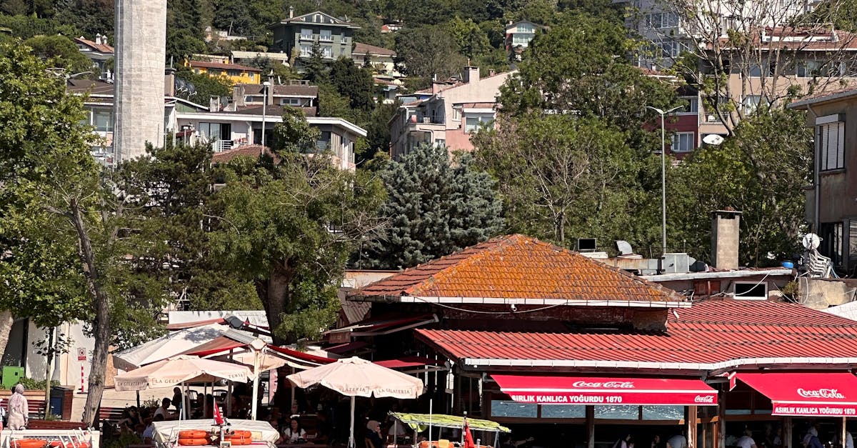 Iconic Beach Bars to Experience Byron Bay’s Nightlife