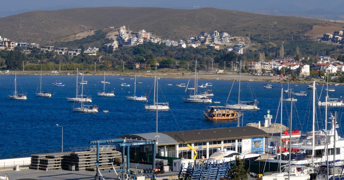 Shellfish and Sunset: Dining on the Waterfront