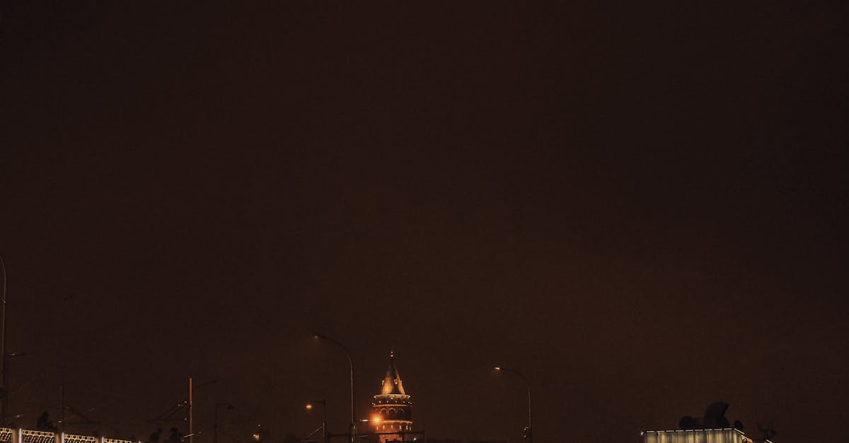 The Rise of Plant-Based Menus in Byron Bay's Cafés