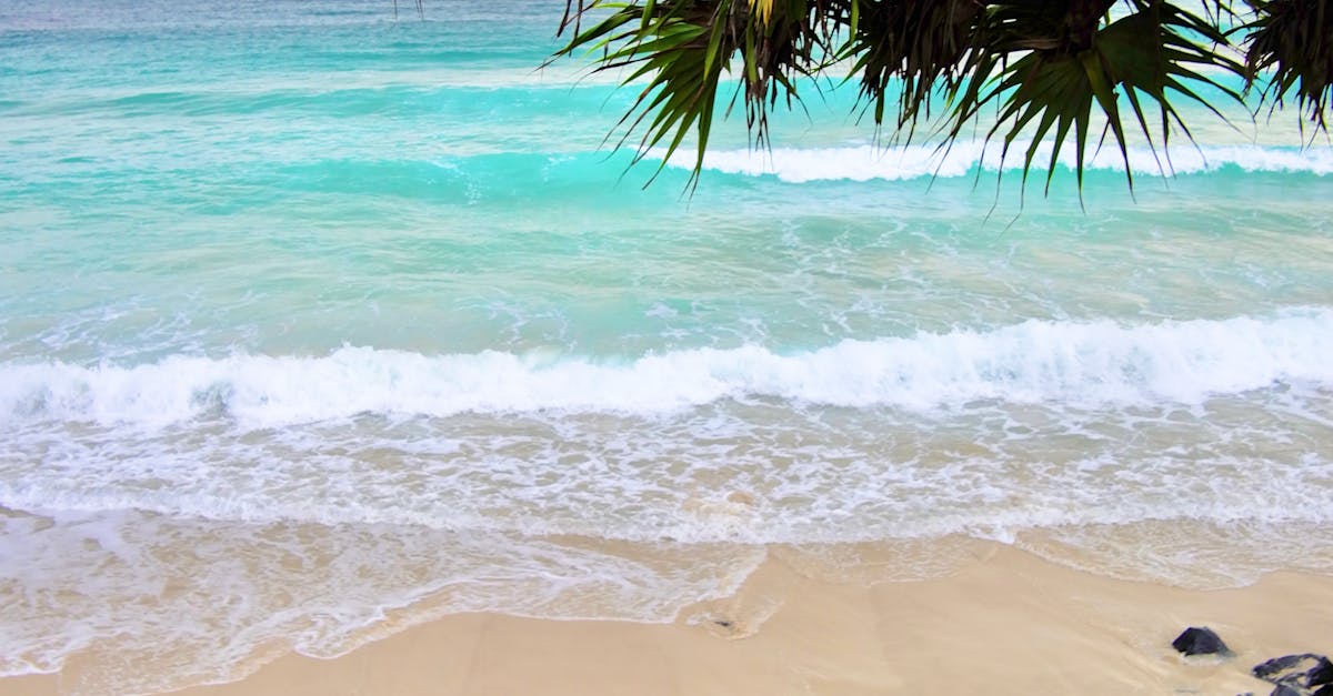 Unveiling the Art of Wine Pairing at Byron Bay's Finest Dining Venues