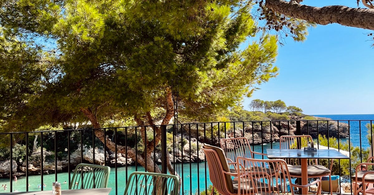 Vegetarian and Vegan Wine Pairings at Byron Bay's Finest